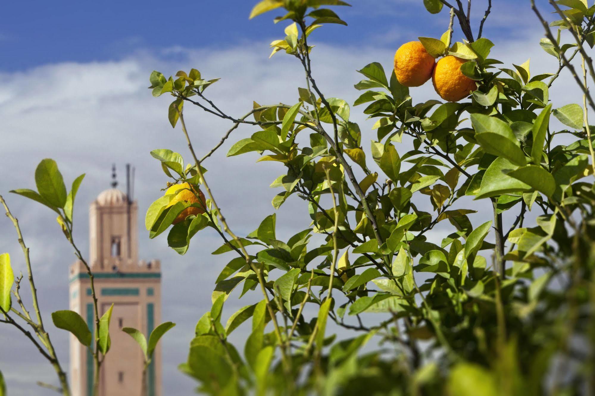 Le Farnatchi Hotel Marrakesh Bagian luar foto